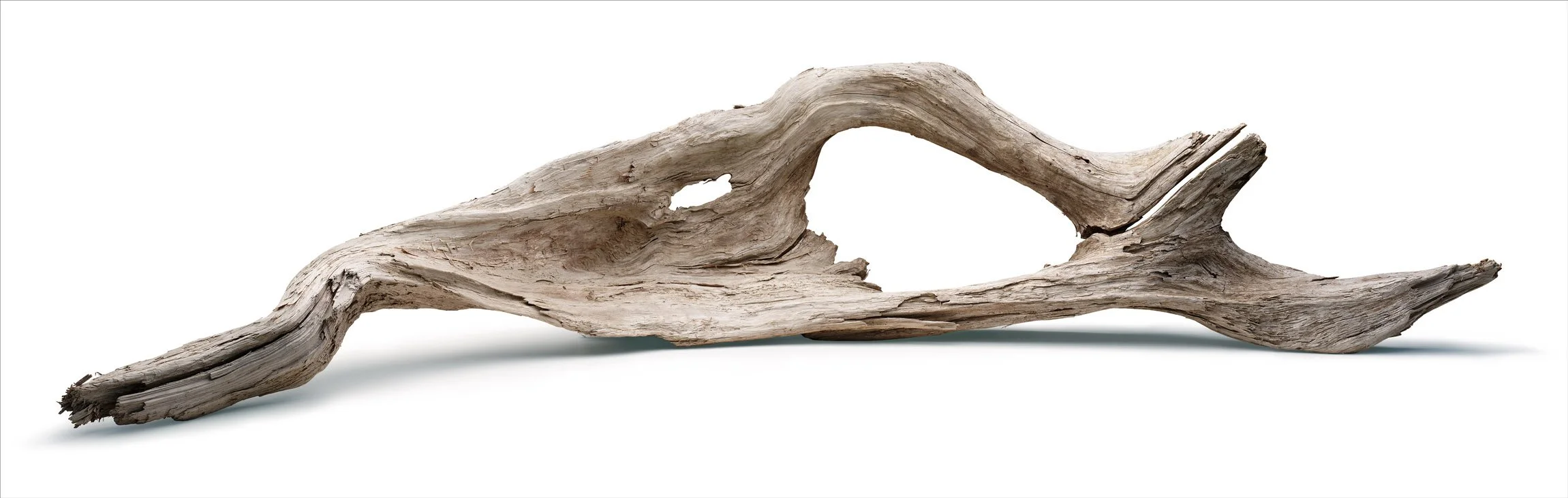 driftwood_1.jpg