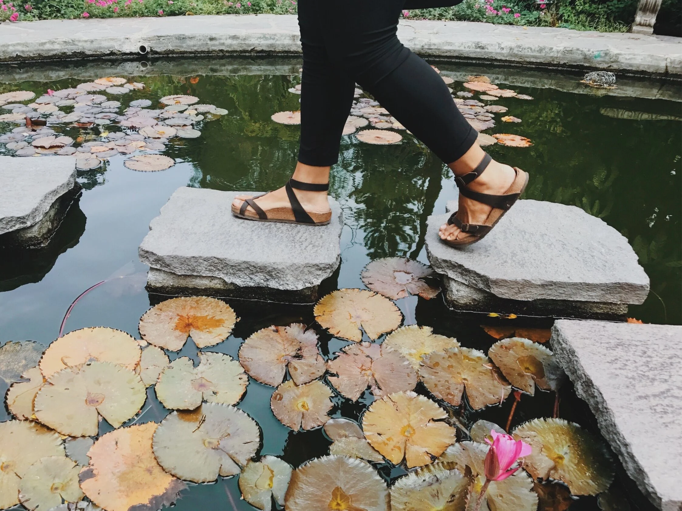 6 Session Coaching Bundle | Embodied Awareness