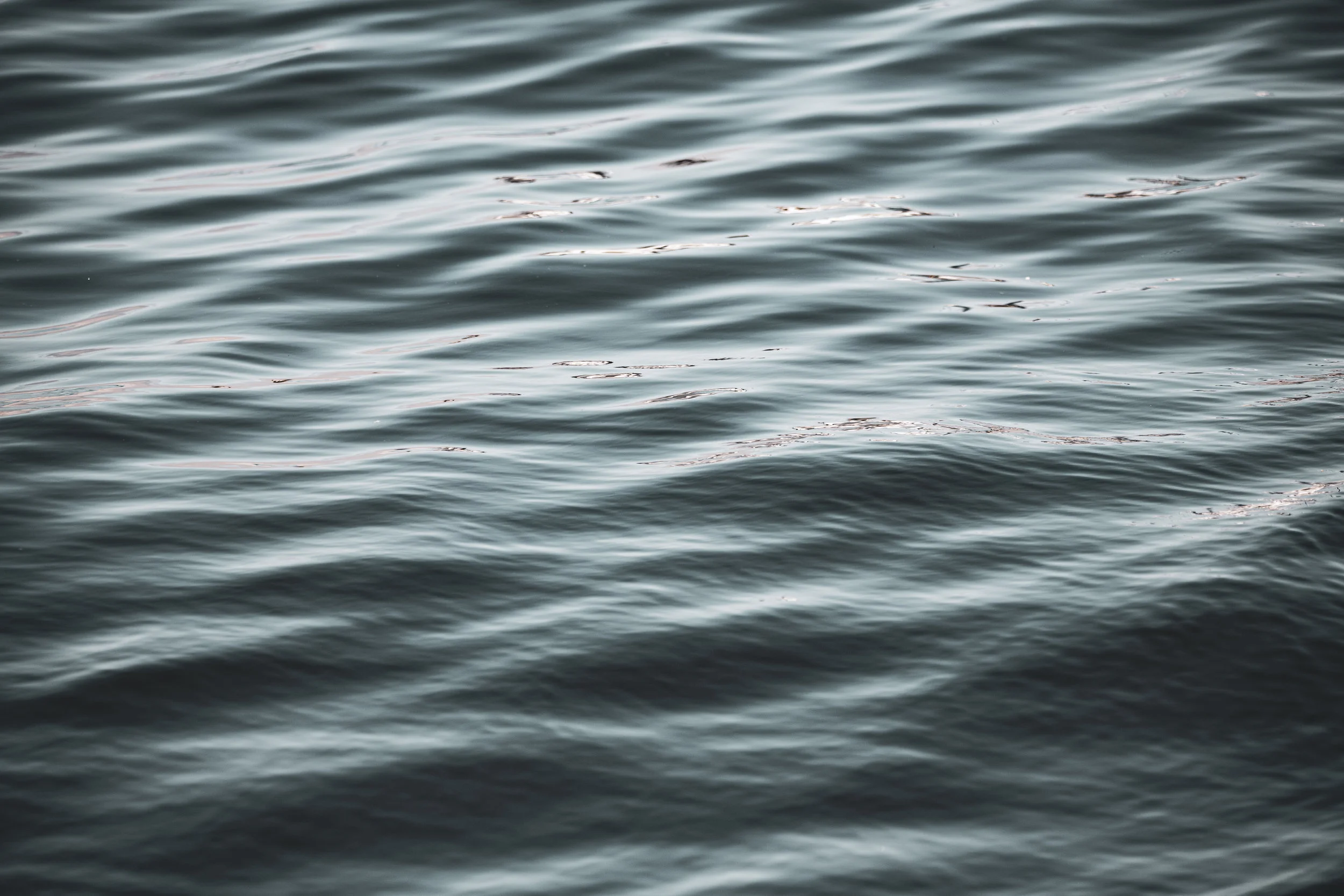 Emergency Recovery Plan for freshwater biodiversity published