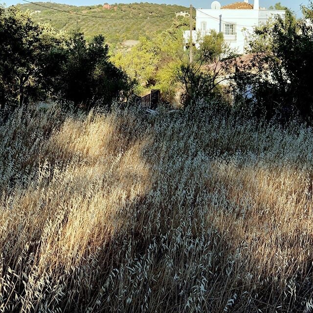 Quinta Amorosa view across the fields