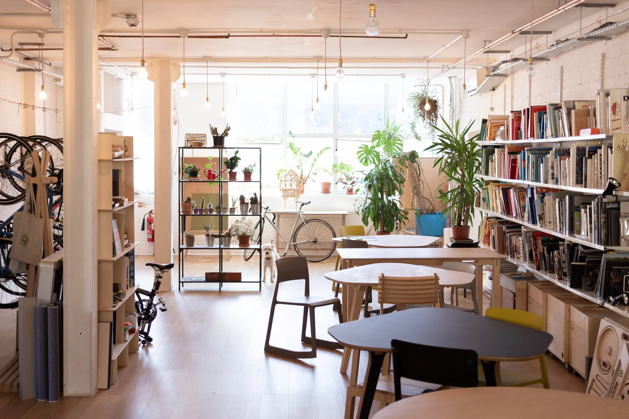 CLOSED: 00 is hiring a Studio Manager