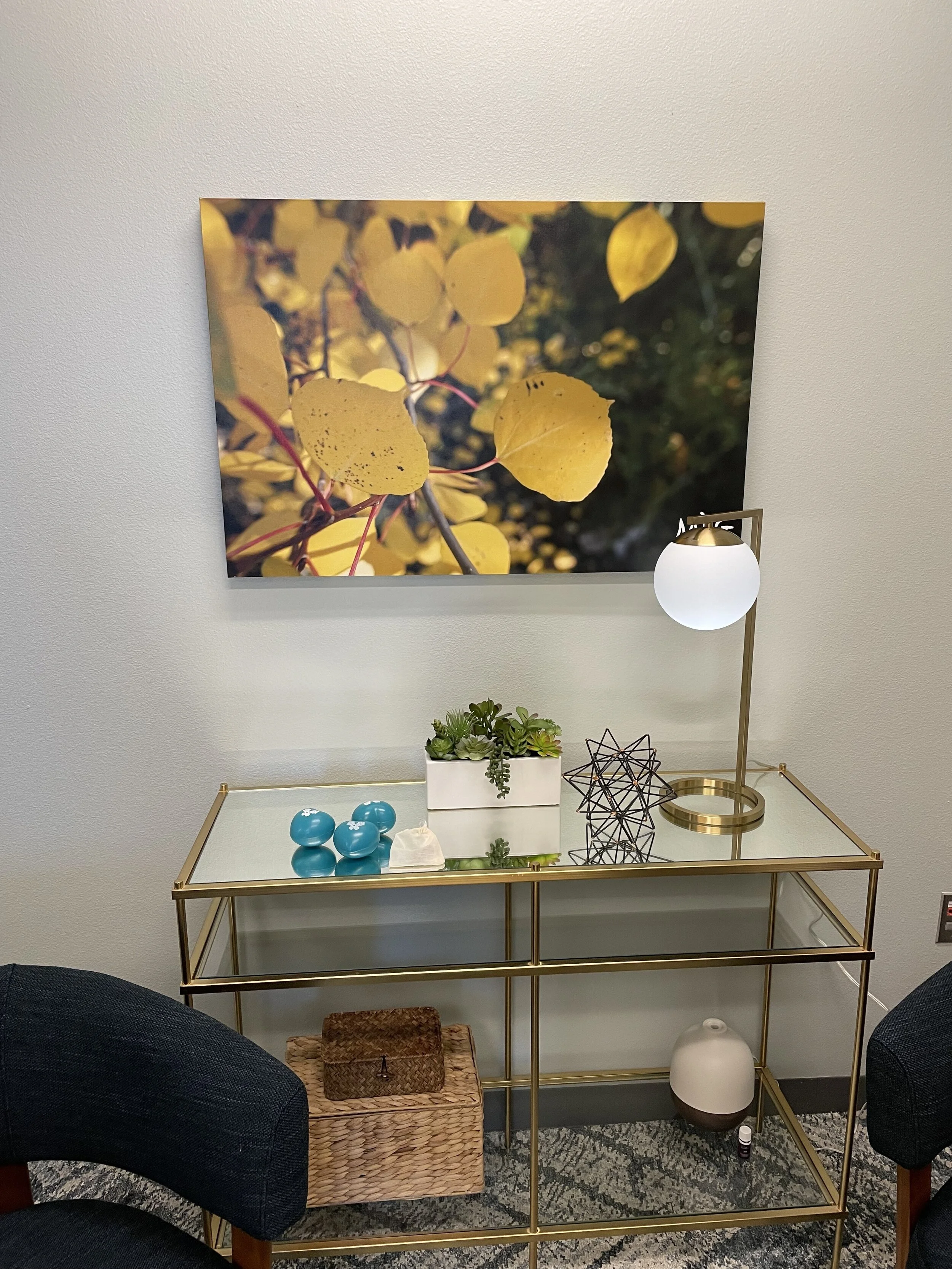 [Starlocalmedia.com.com]Mesquite PD to have interview room for assault victims