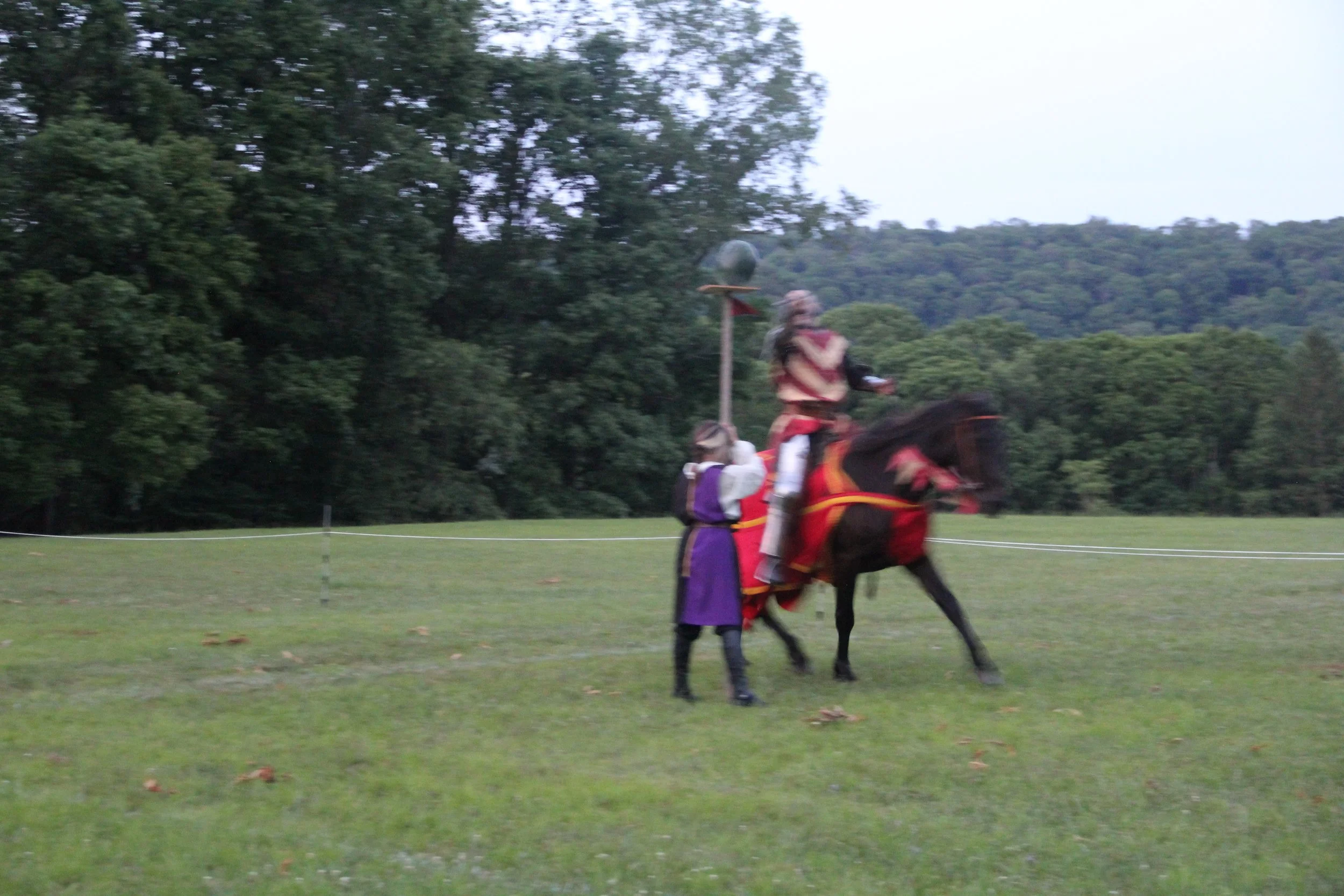 IMG_7535.JPG