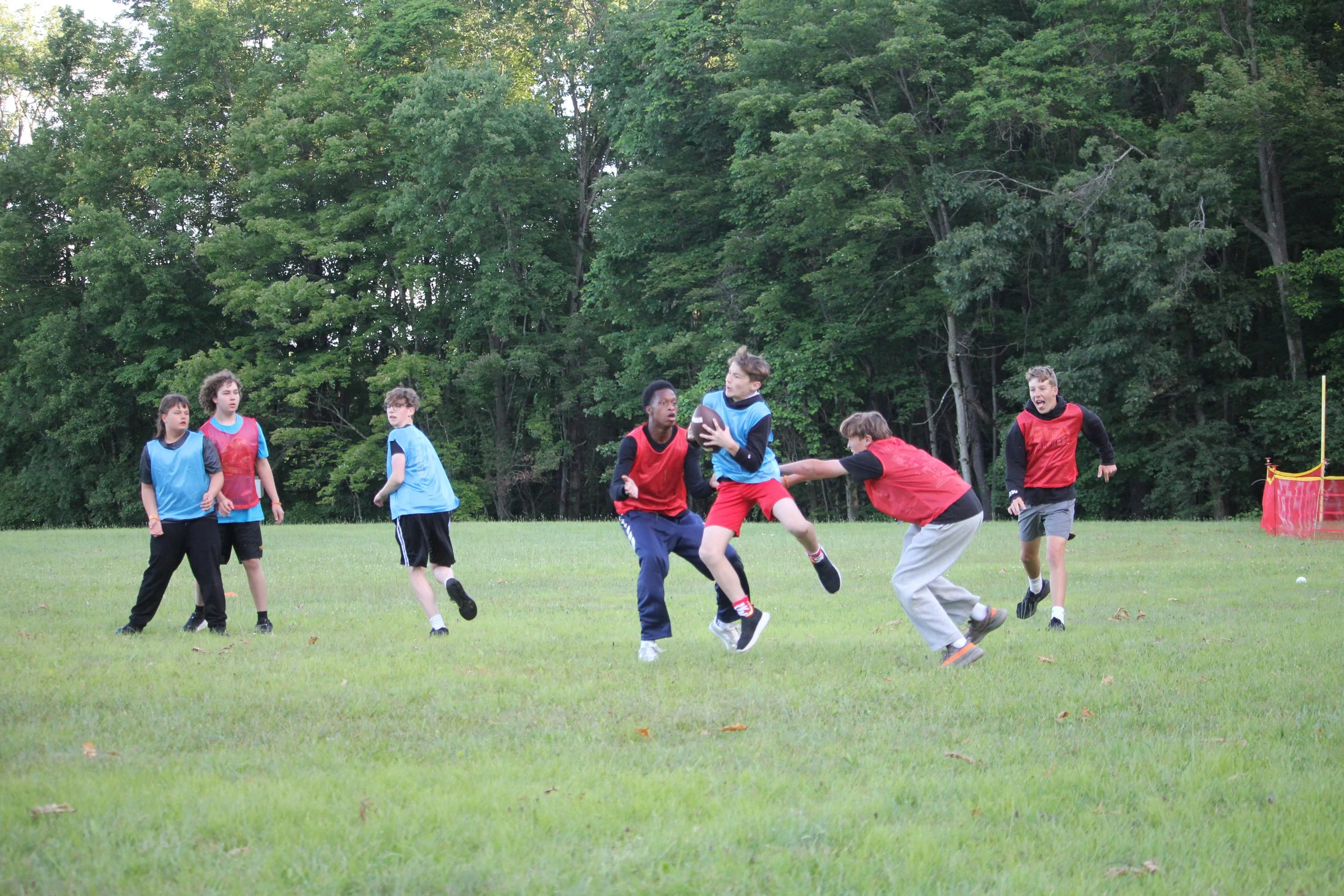 IMG_7969.JPG