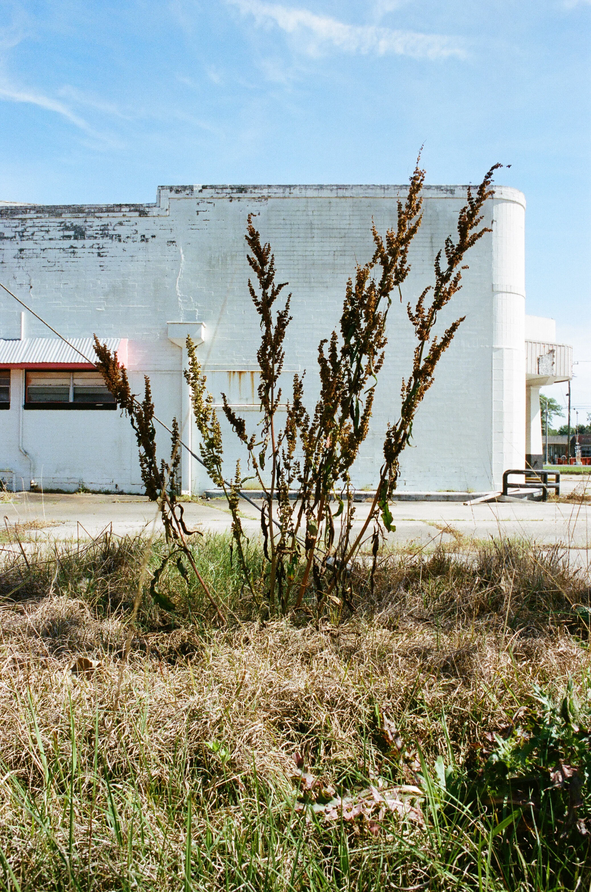 2020-06-10-30.jpg