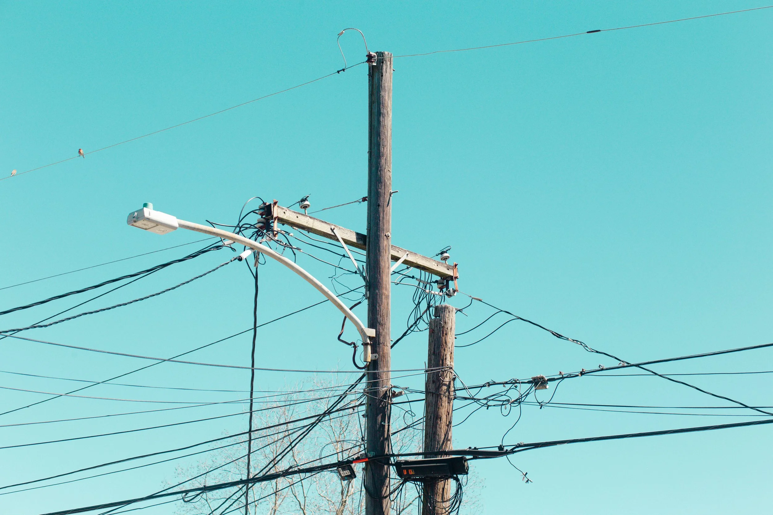 Anthony Guagliardo-Neotopographics-20260317-IMG_9351.jpg