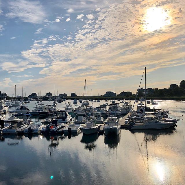 Morning Glory ☀️ Soaking up every bit sunshine and warmth before the season changes 🍁 .
.
#Scituate #NewEngland
