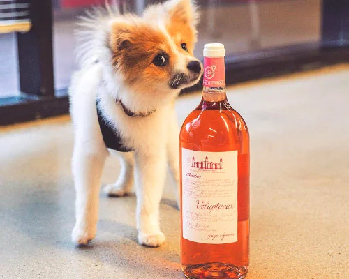 This Jumbo Rosé Bottle is the Same Size as a 5-Month Puppy DELISH // JULY 1, 2019