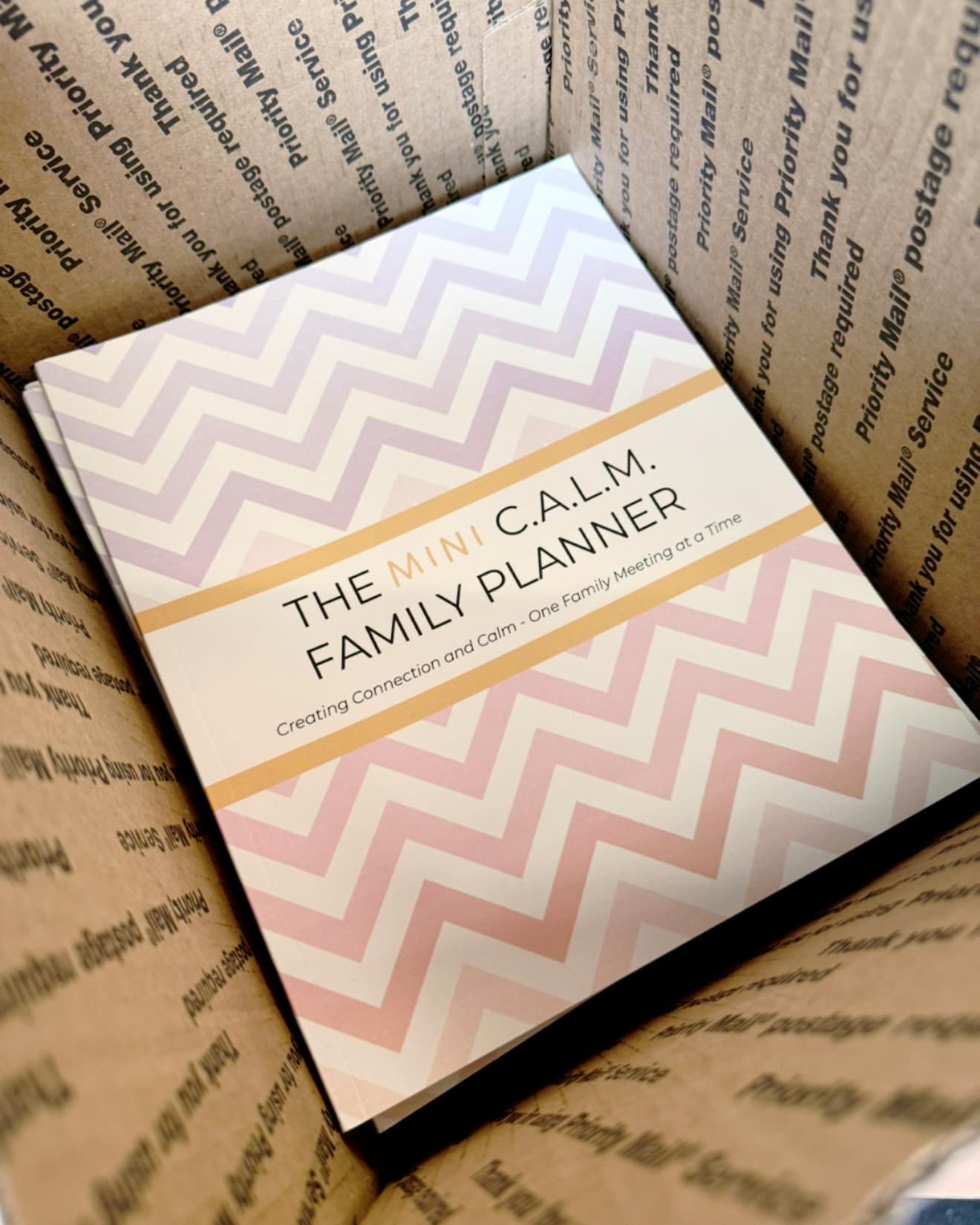Did you know organizations can bulk order The C.A.L.M. Family Planner for their clients?

Plus, they get a copy of The Mini C.A.L.M. Planner for every full version they order! #BOGO

Another batch is being sent off today to start helping families cre