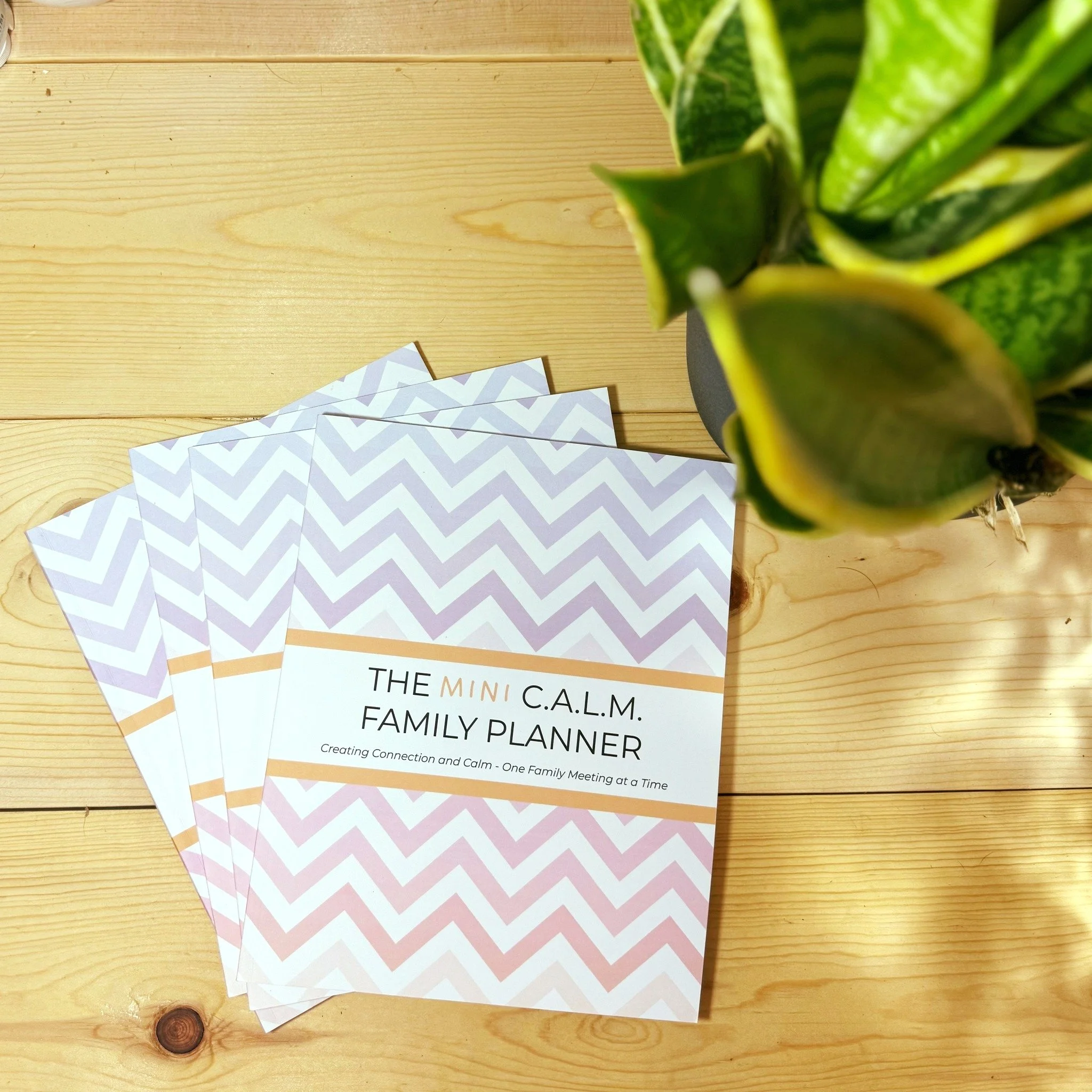 Did you know?! 🤔 

There are actually TWO options when it comes to The C.A.L.M. Family Planner!

While the full version is arriving at the end of this month (woohoo), you don&rsquo;t have to wait to get started.

The Mini C.A.L.M. Family Planner is 