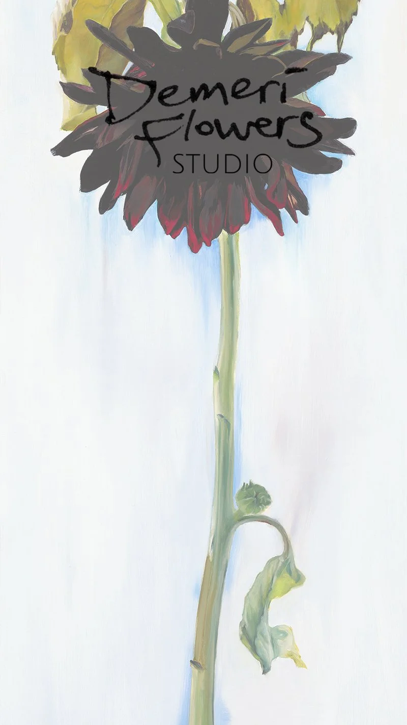 ForVerticalPhoneScreen copy.jpg