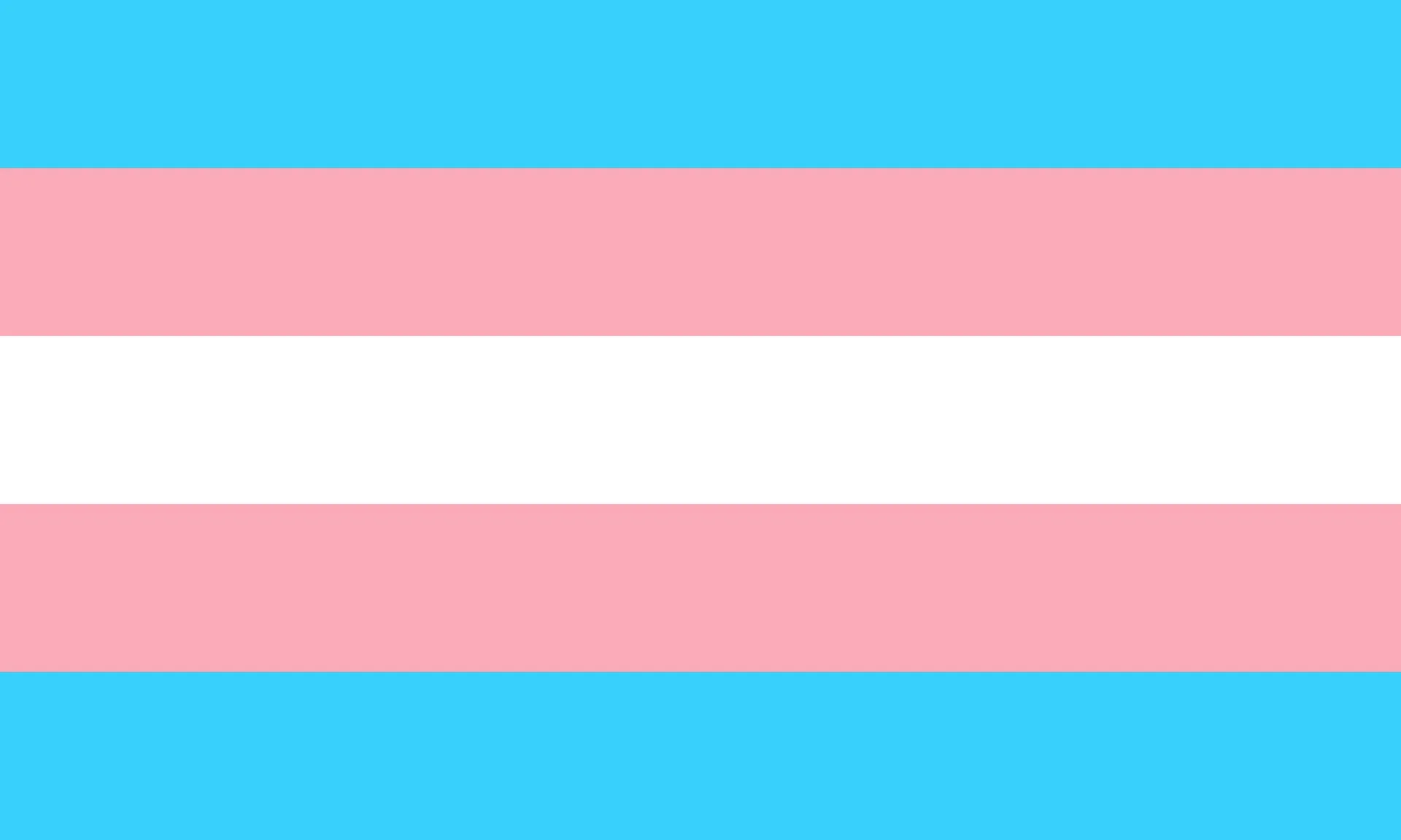 transflag.jpg