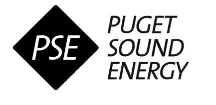 PSE Logo.jpeg