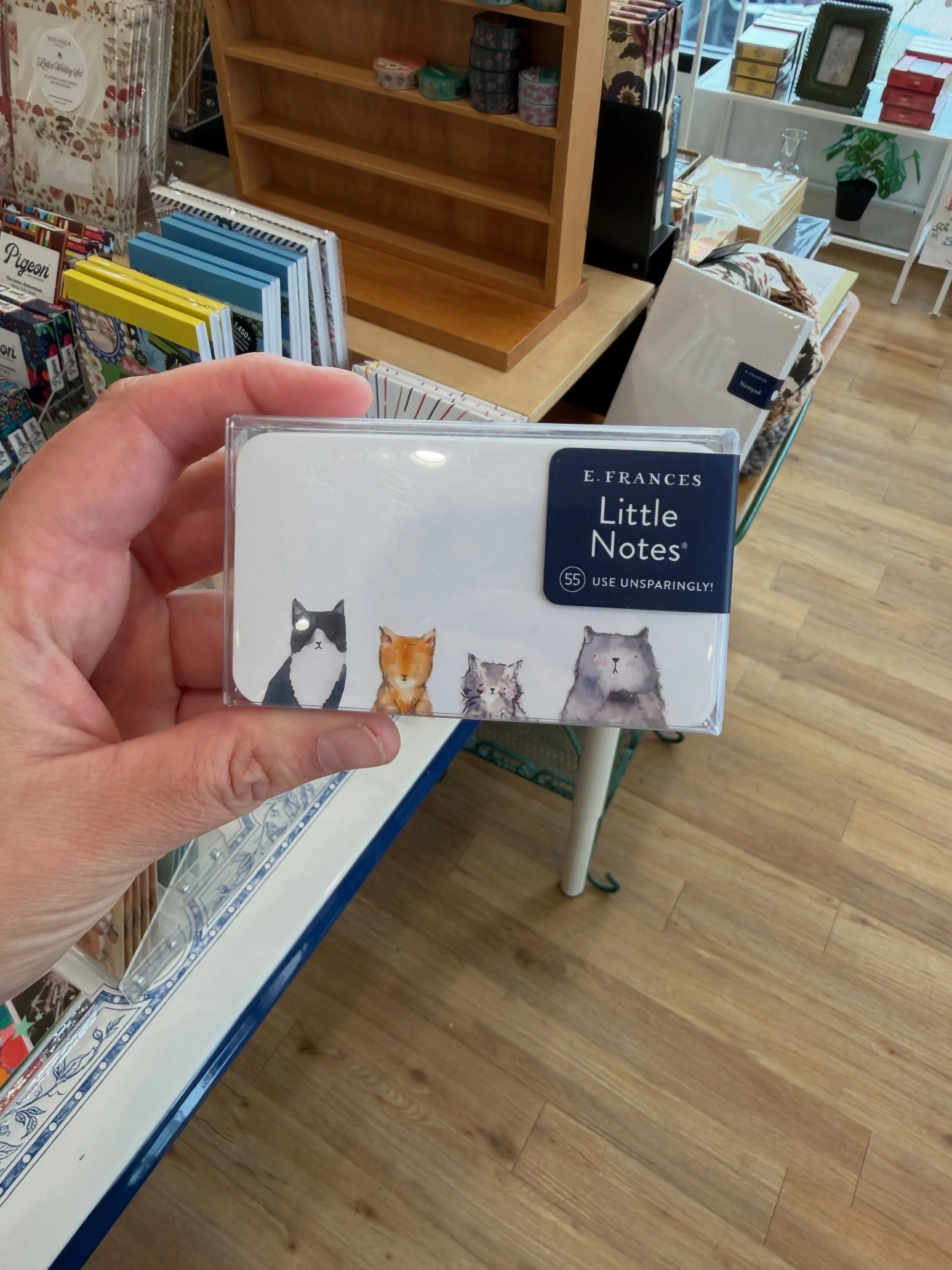 These little notes are perfect for your little one&rsquo;s lunch box! Come see what&rsquo;s new! Open 10-6 today! ✨ #uptown #eastowngr #grandrapidsmichigan