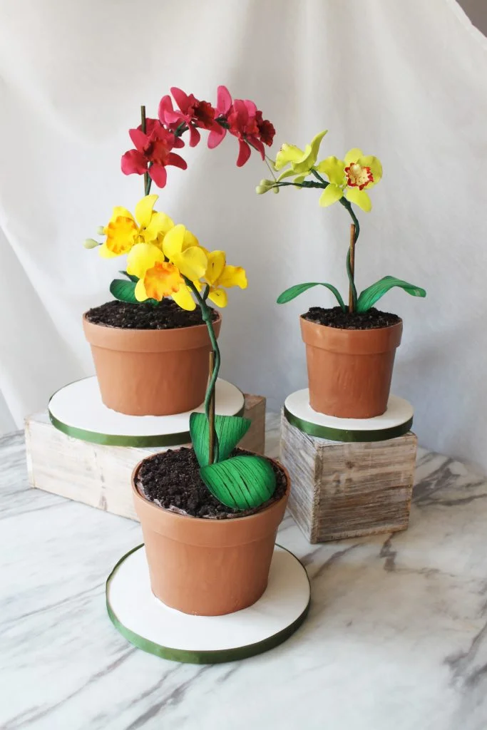 Flower Pots Cake