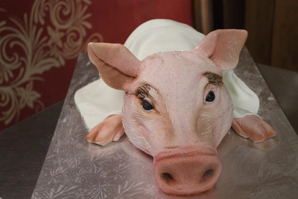 Pig Cake