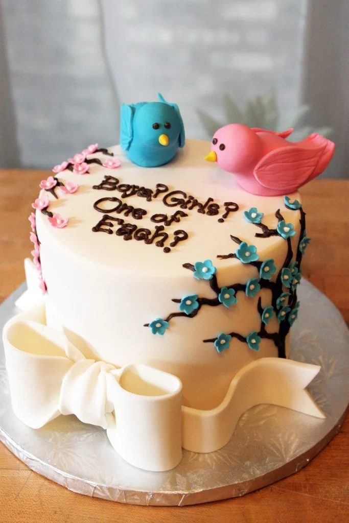 Gender Reveal Bird Cake