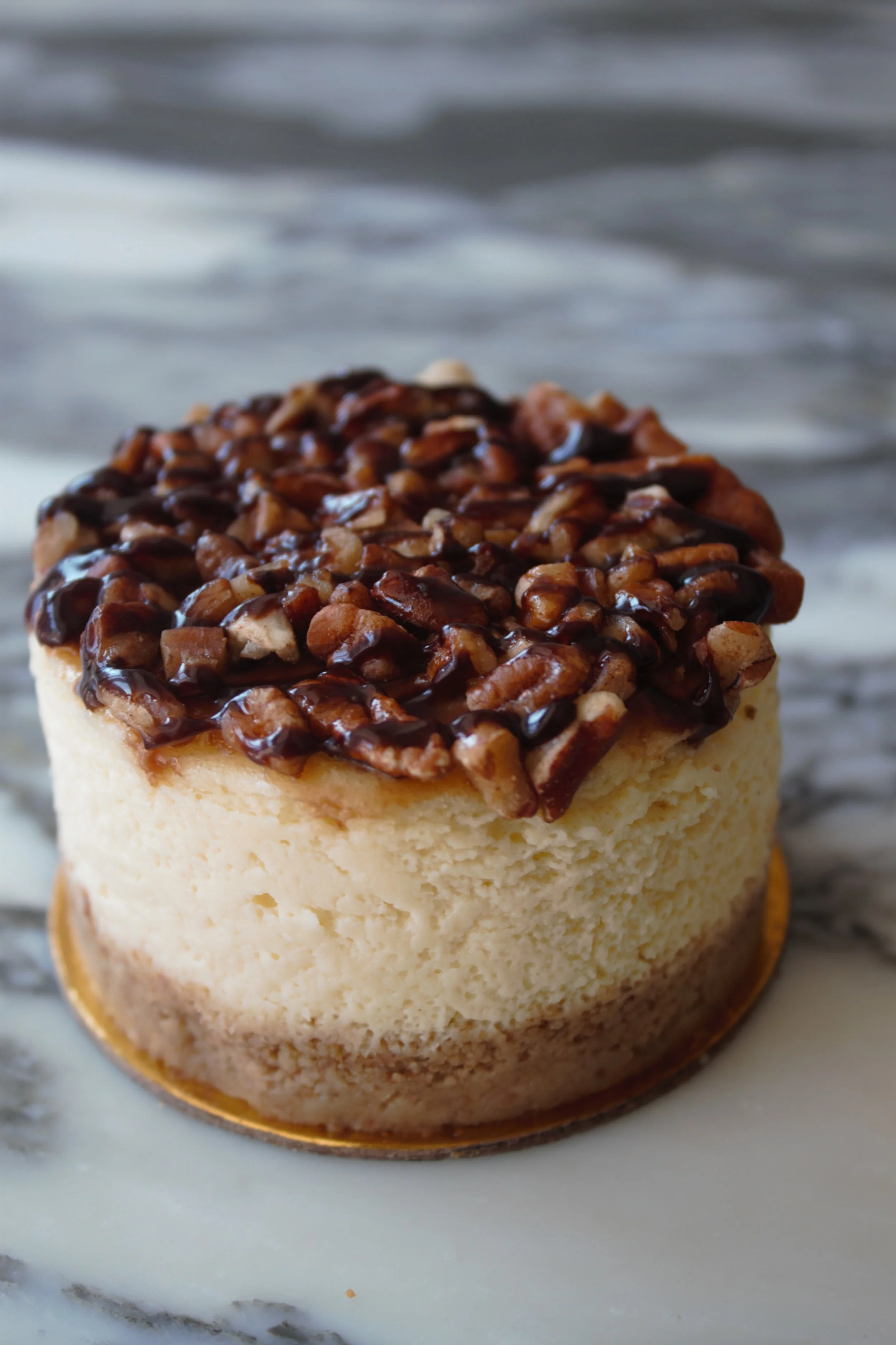 Turtle Cheesecake