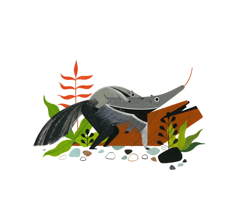 Safe&SoundAnteaters400.jpg
