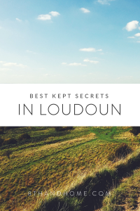 IN-Loudoun-200x300.png
