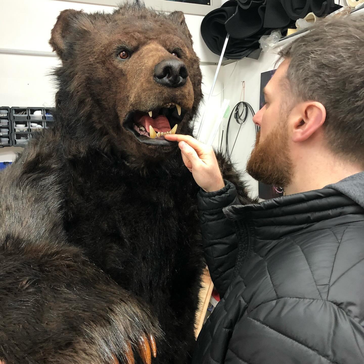 We&rsquo;ve had Bears on the brain for the last 7 weeks.. 🐻 

He&rsquo;s a look at our last grizzly produced for @bbcghosts a few years back 🐾 fab job with a fab team.

#puppetprops #puppetmaking #puppetmakers #bear #grizzly #faketaxidermy