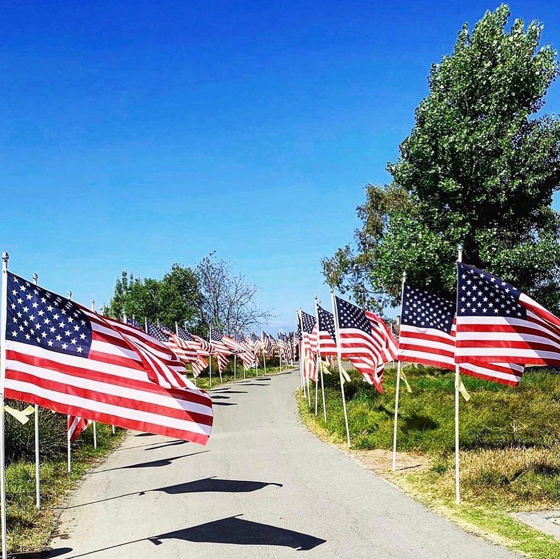 : M E M O R I A L  D A Y 🇺🇸
.
All gave some, some gave all 🙏🏻
.
Freedom isn&rsquo;t free ✌🏻
.
United we stand, divided we fall 💪🏻
.
We love this country &hearts;️🤍💙
.
#memorialday #newportbeach #california #usa