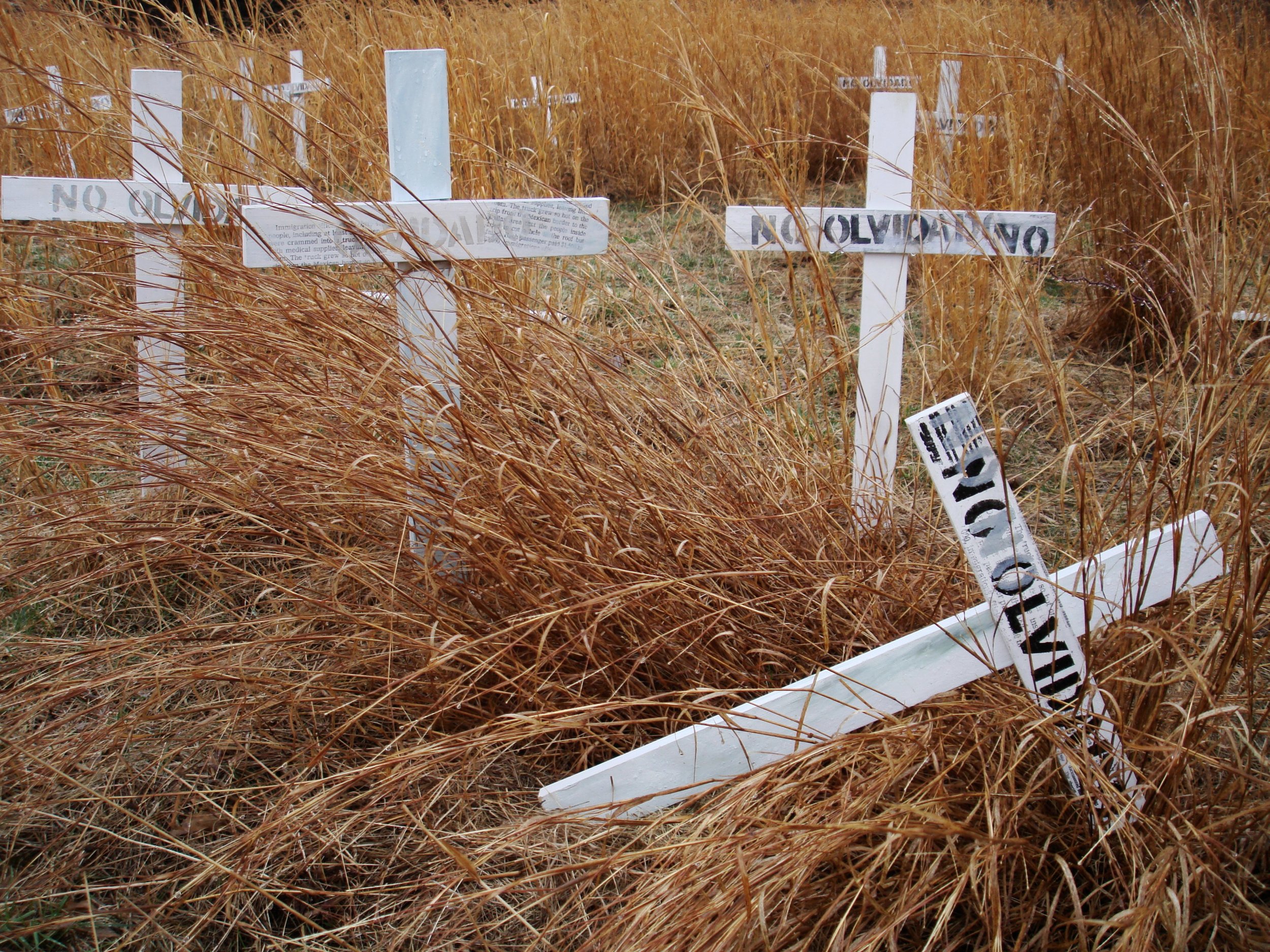 Field+Fire+V+(+rain)+0996+copy.jpg