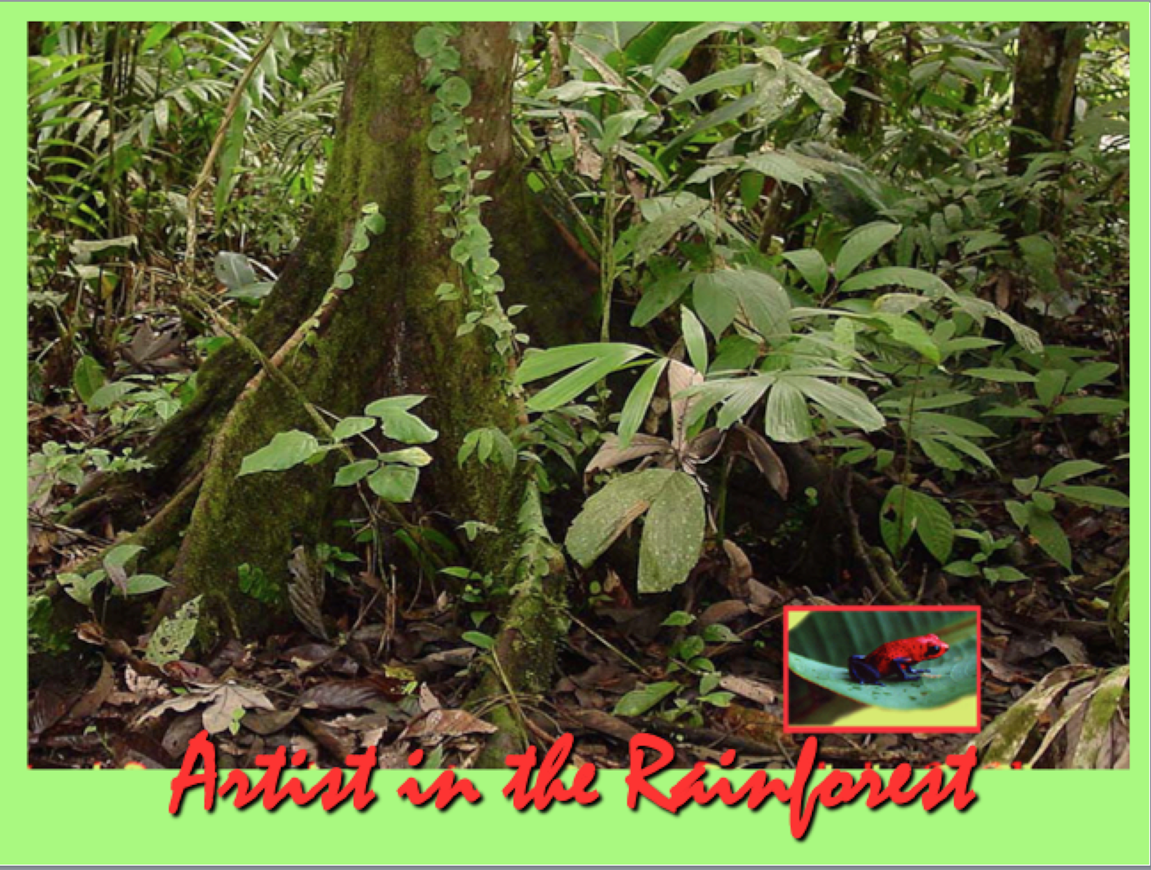 Artist in the Rainforest 2019-05-07 at 4.41.03 PM.png