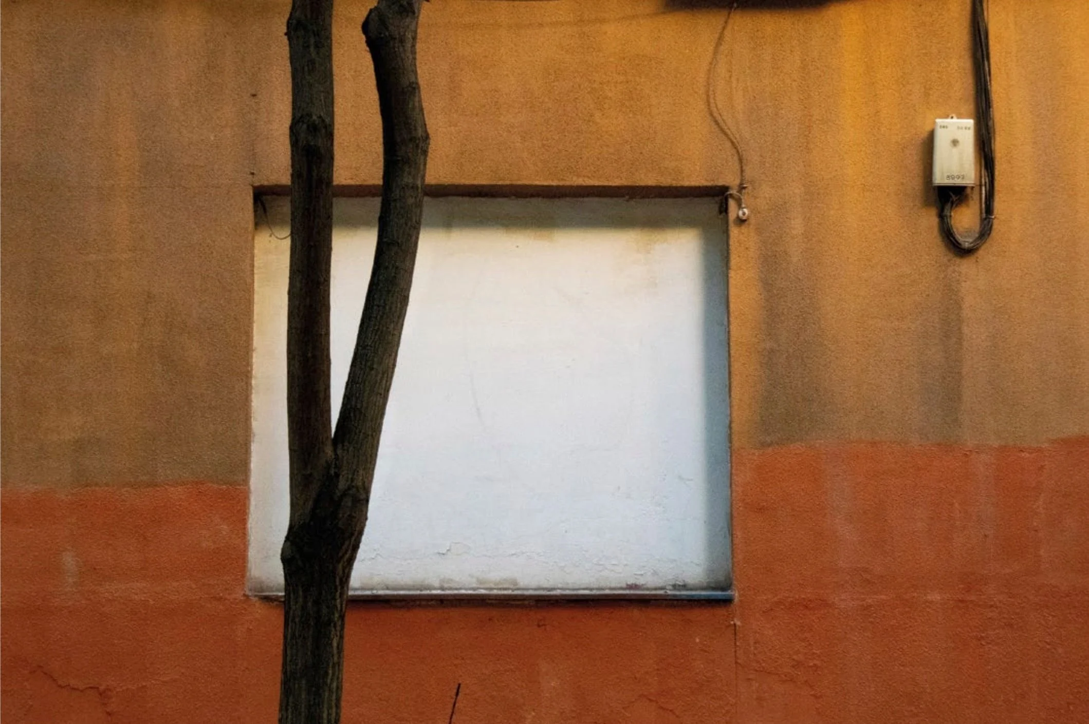 "S/T"