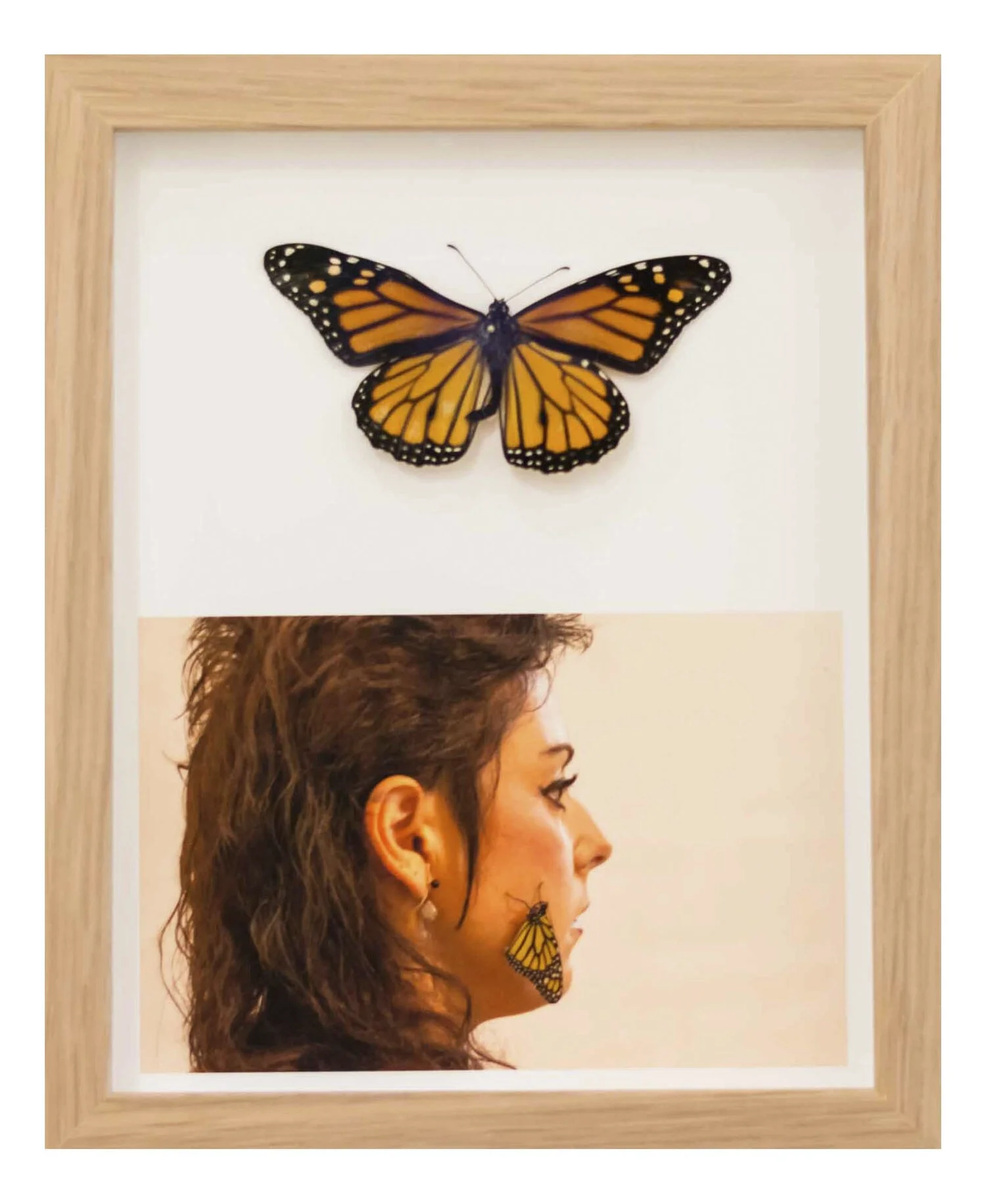 ¿Por qué todos los capullos no se convierten en mariposas?