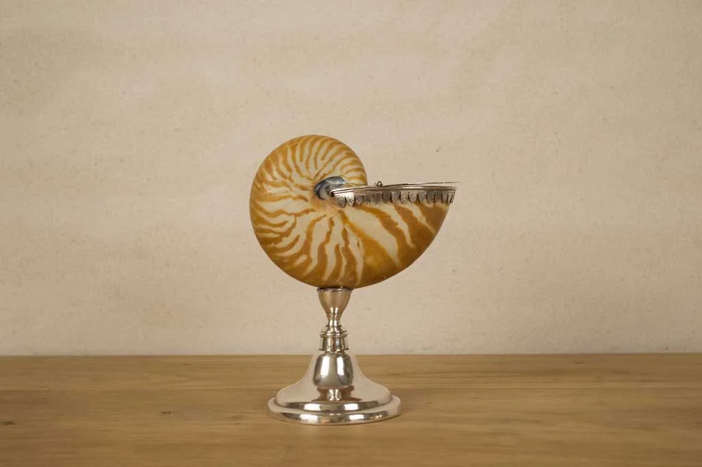 Cenicero Nautilos con plata portuguesa