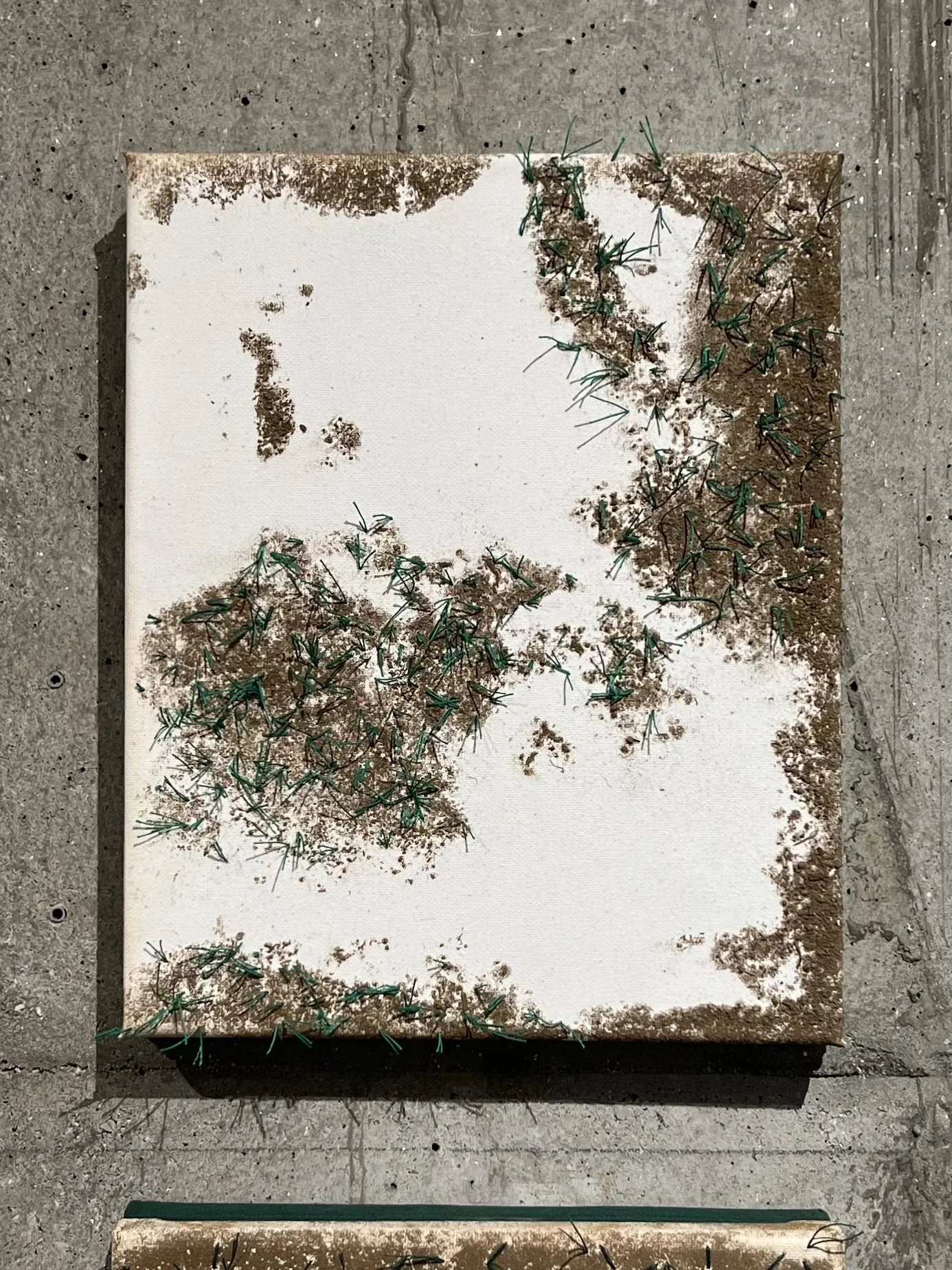 "Boa convivência (buenaventura)" #VERDE PASTO