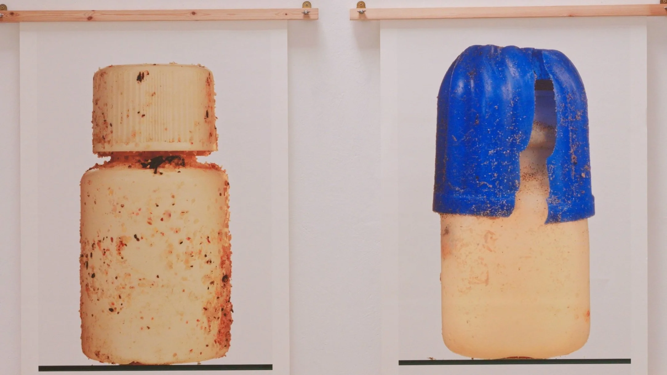 Fred Langford Edwards