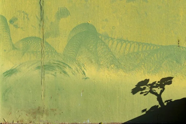 "Paisaje japonés"