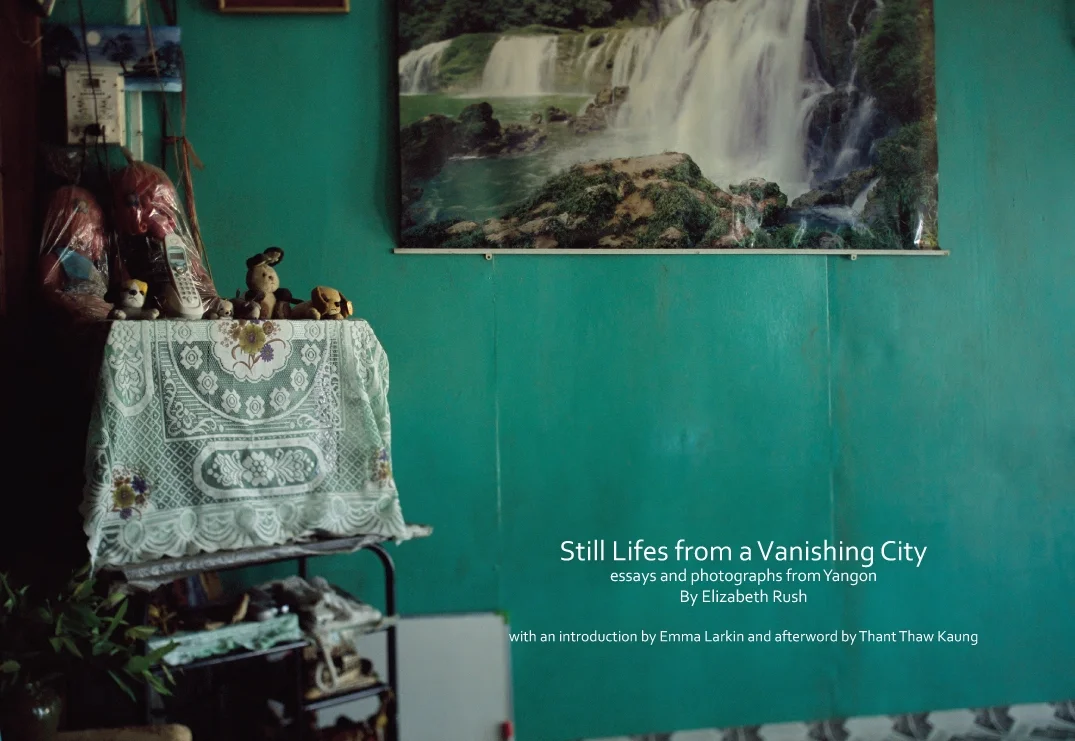 slvc_cover_2.jpg