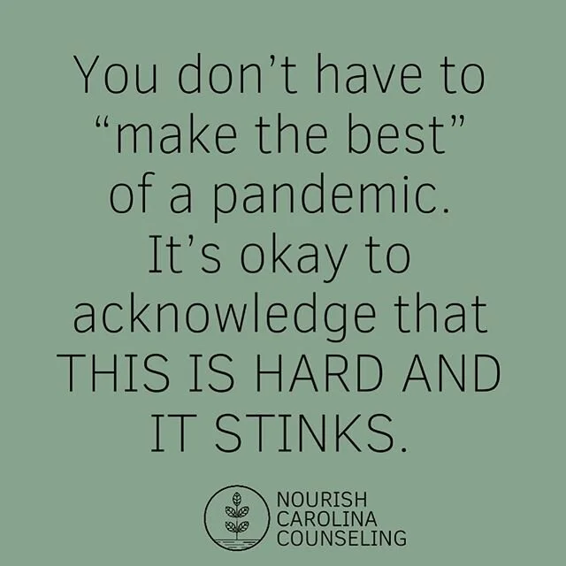 ** For those of us who are fortunate enough to be able to stay home and are not one of those incredible humans who saving lives or restocking grocery store shelves or delivering mail or providing distance learning to your kiddos, etc. ** There is val