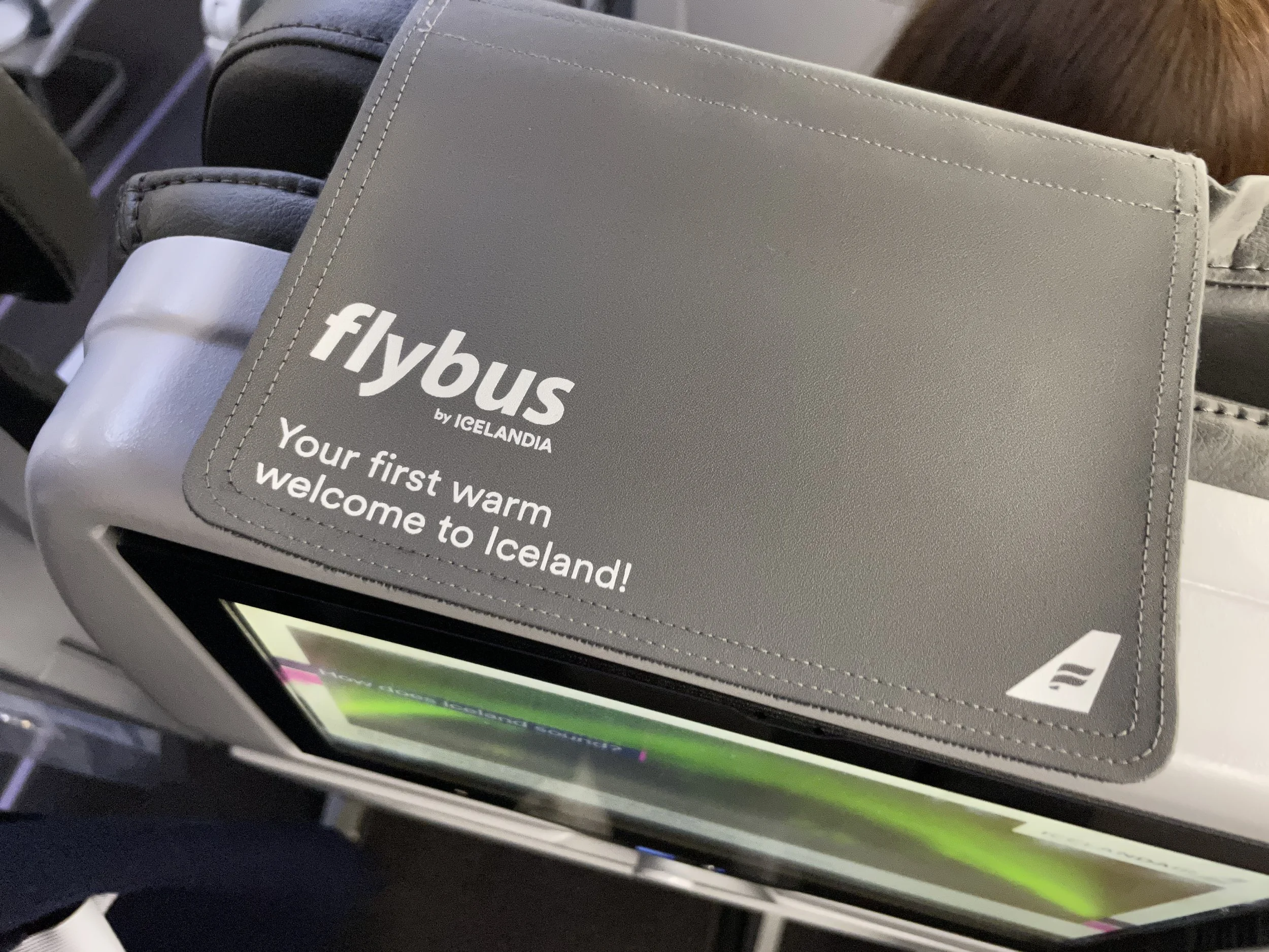 Icelandair Economy Class Review FI622 Newark Airport (EWR) to