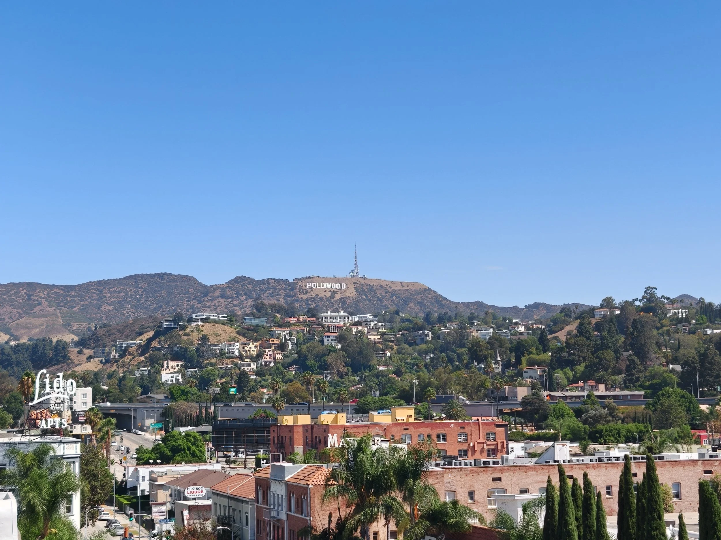 View from Whisky Hotel rooftop. Image: Dan Latif.