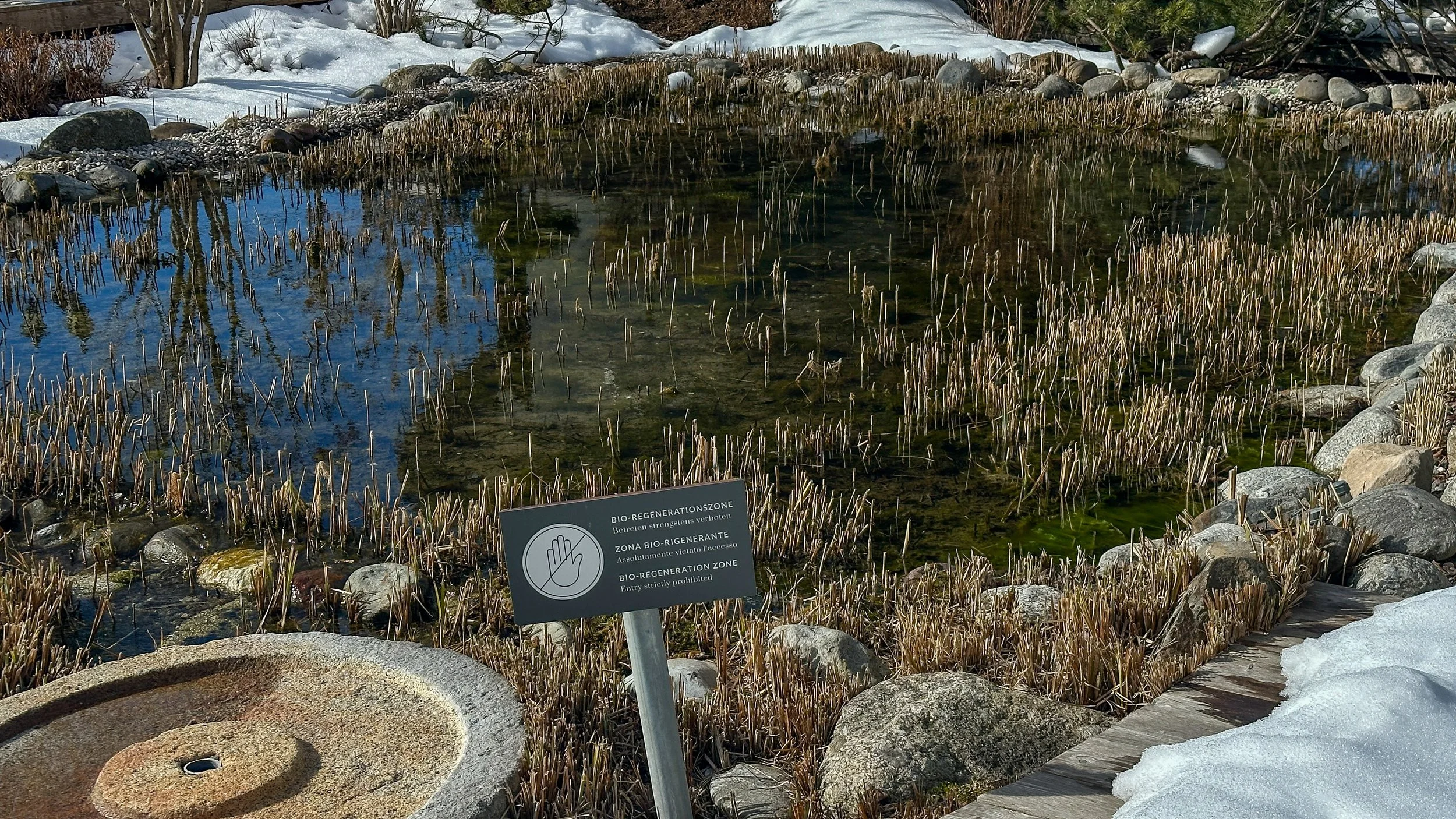 Chalet Mirabell Hotel Natural Pool and Bio-Regeneration Zone. Image: Ben Schmidt.