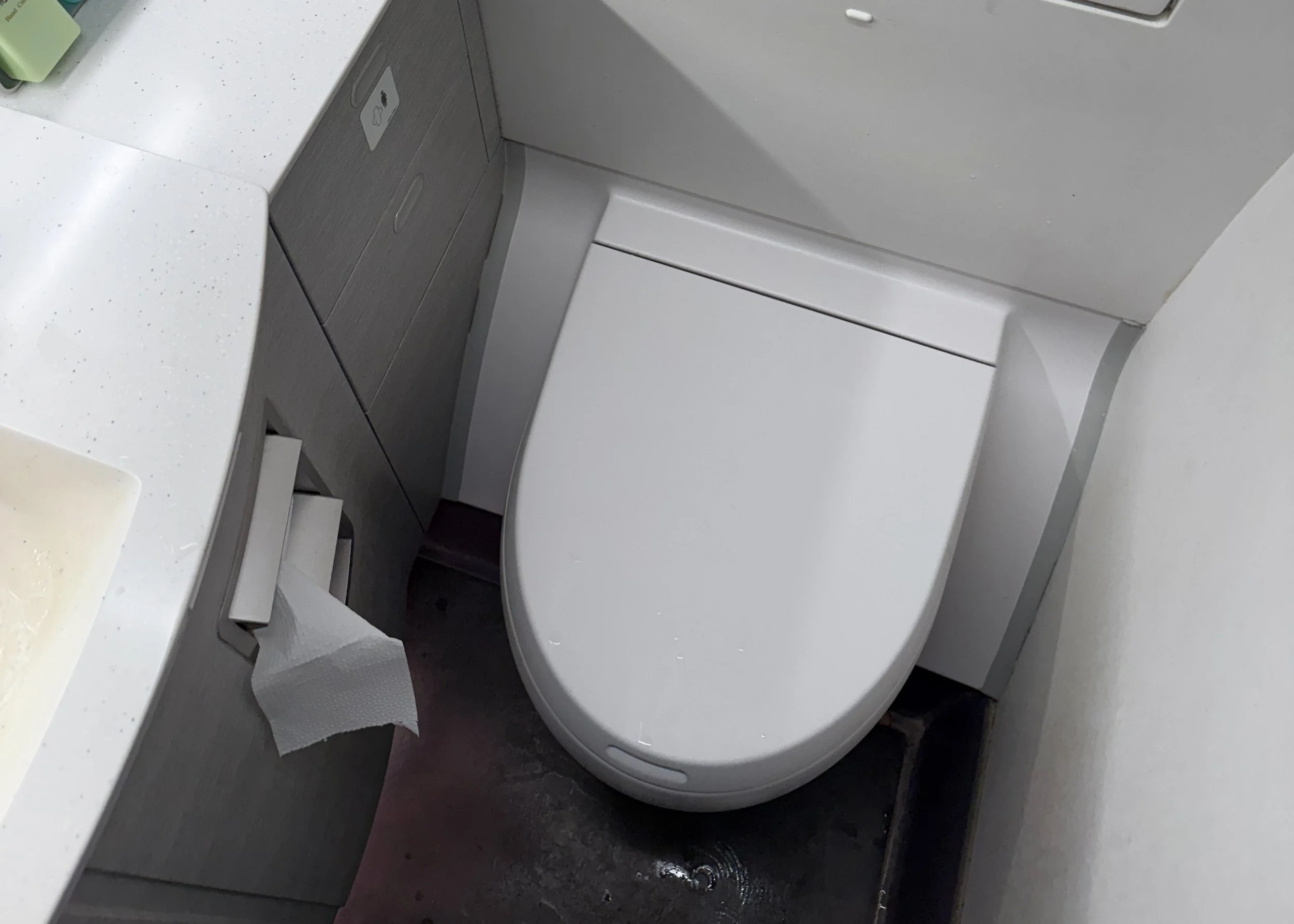 Lavatory aboard Cathay Pacific A350-1000. Image: James Hayes.