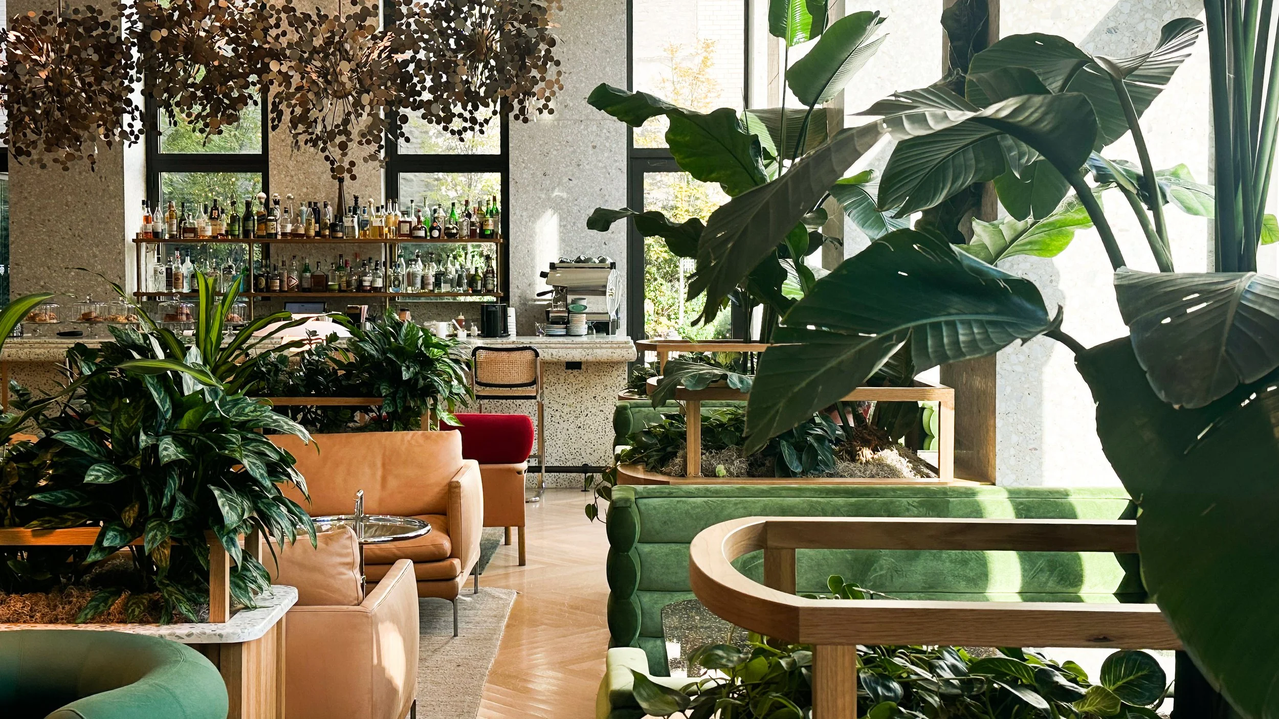 Branch Club at Park Terrace Hotel. Image: Ben Schmidt.
