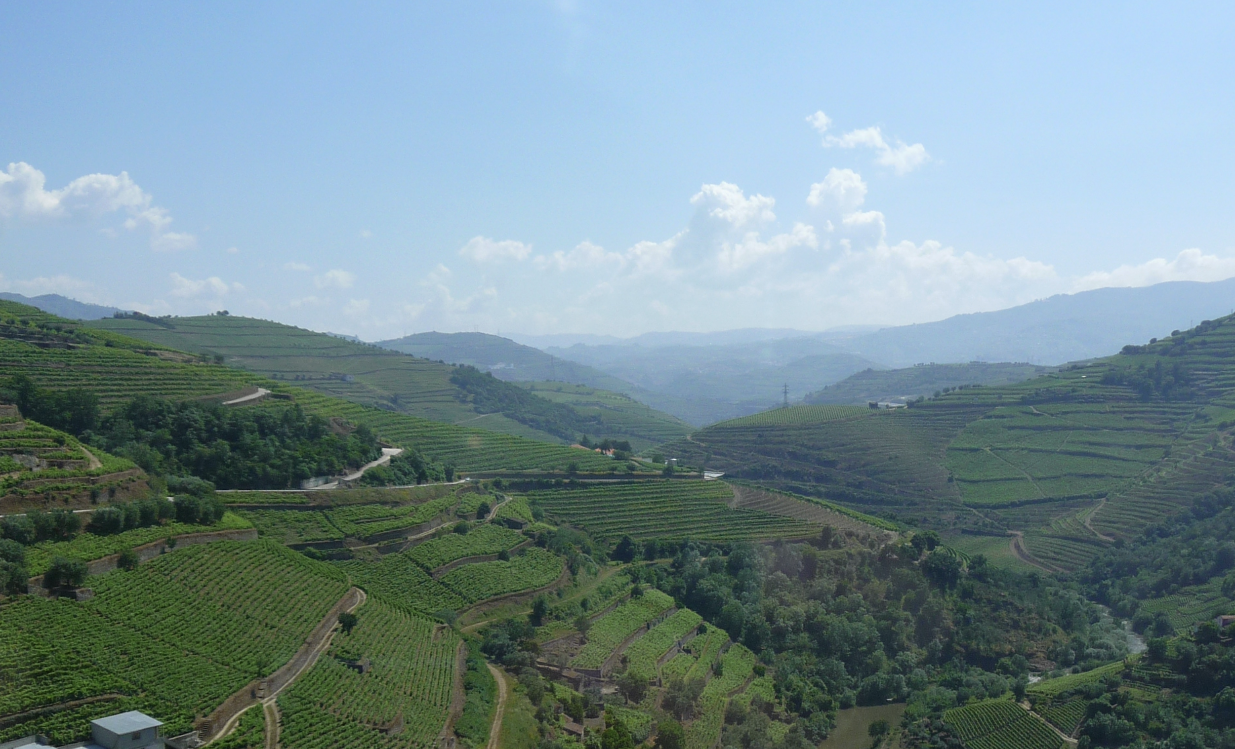 Alto Douro Wine Region in 2011as Seen From a Train. Image: Fimartinho via Wikipedia.