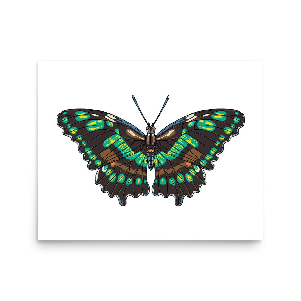 enhanced-matte-paper-poster-(in)-16x20-front-674c971ad146c.jpg