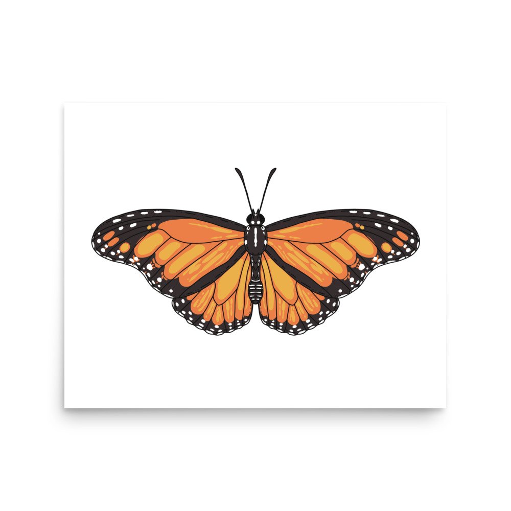 enhanced-matte-paper-poster-(in)-16x20-front-674c972cc7cbb.jpg