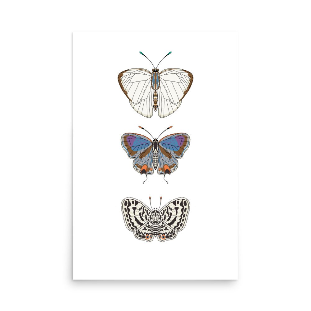 enhanced-matte-paper-poster-(in)-24x36-front-674c99c0e2aa3.jpg