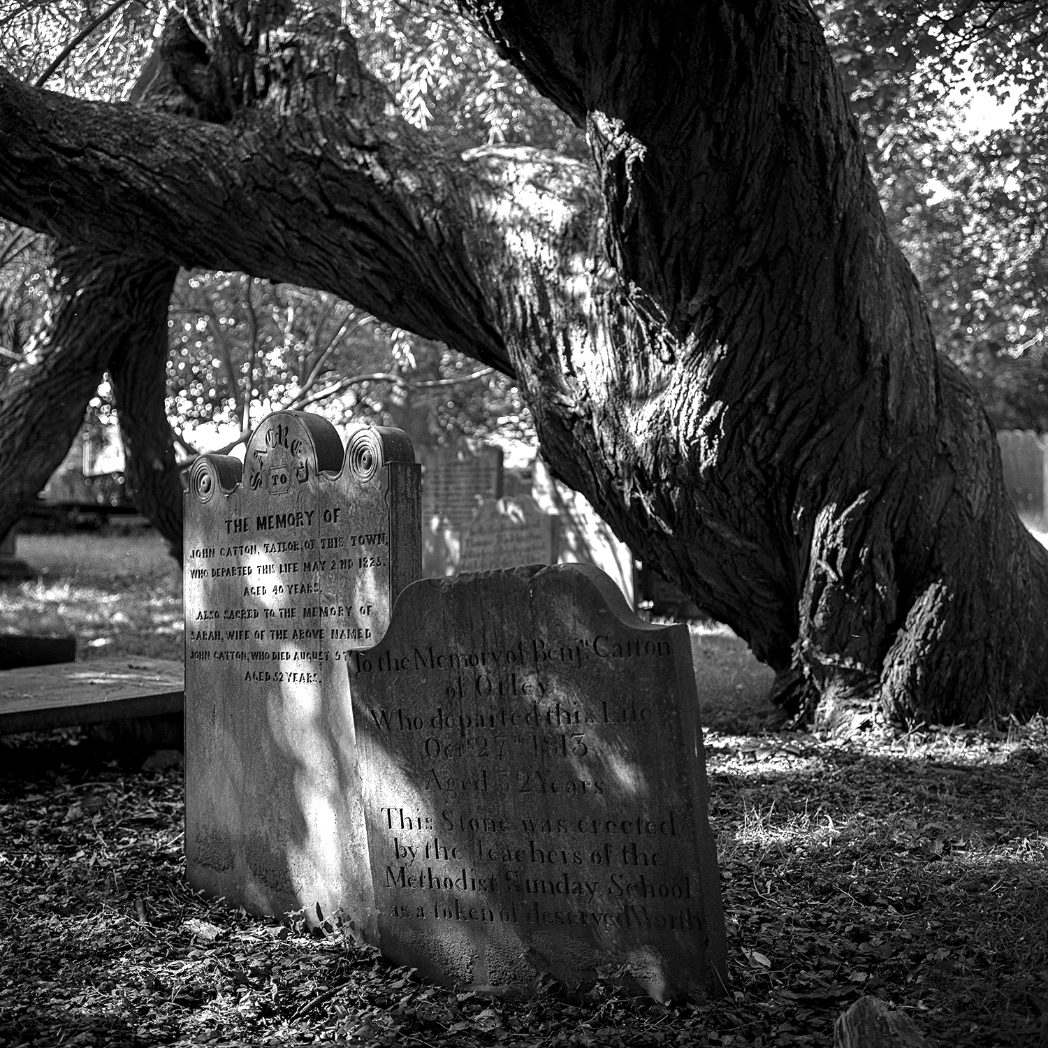 raw0005-rolleiflexheadstones.png