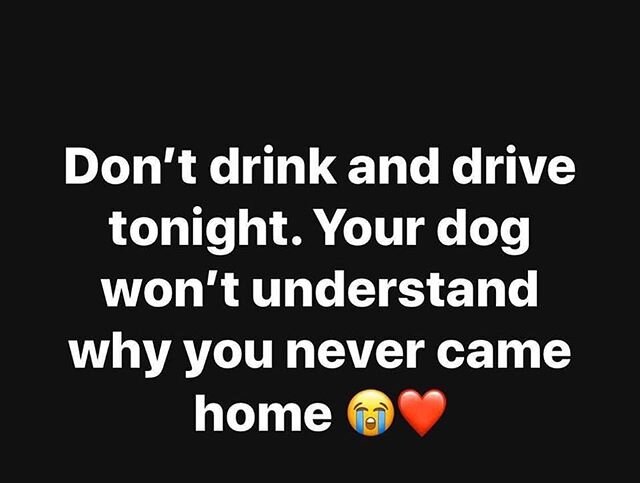 Be safe... be smart... Uber is cheaper than a DIU or a funeral.. #apitbullnamedjoey,#joey,#pitbullsofinstagram,#pitbulls,#pitbull,#endbsl,#pitbulladvocate,#pitbullmom,#pitbullpride,#ilovepitbulls,#pitbullfriends #dontbullymybreed, #pitbullfamily,#pit