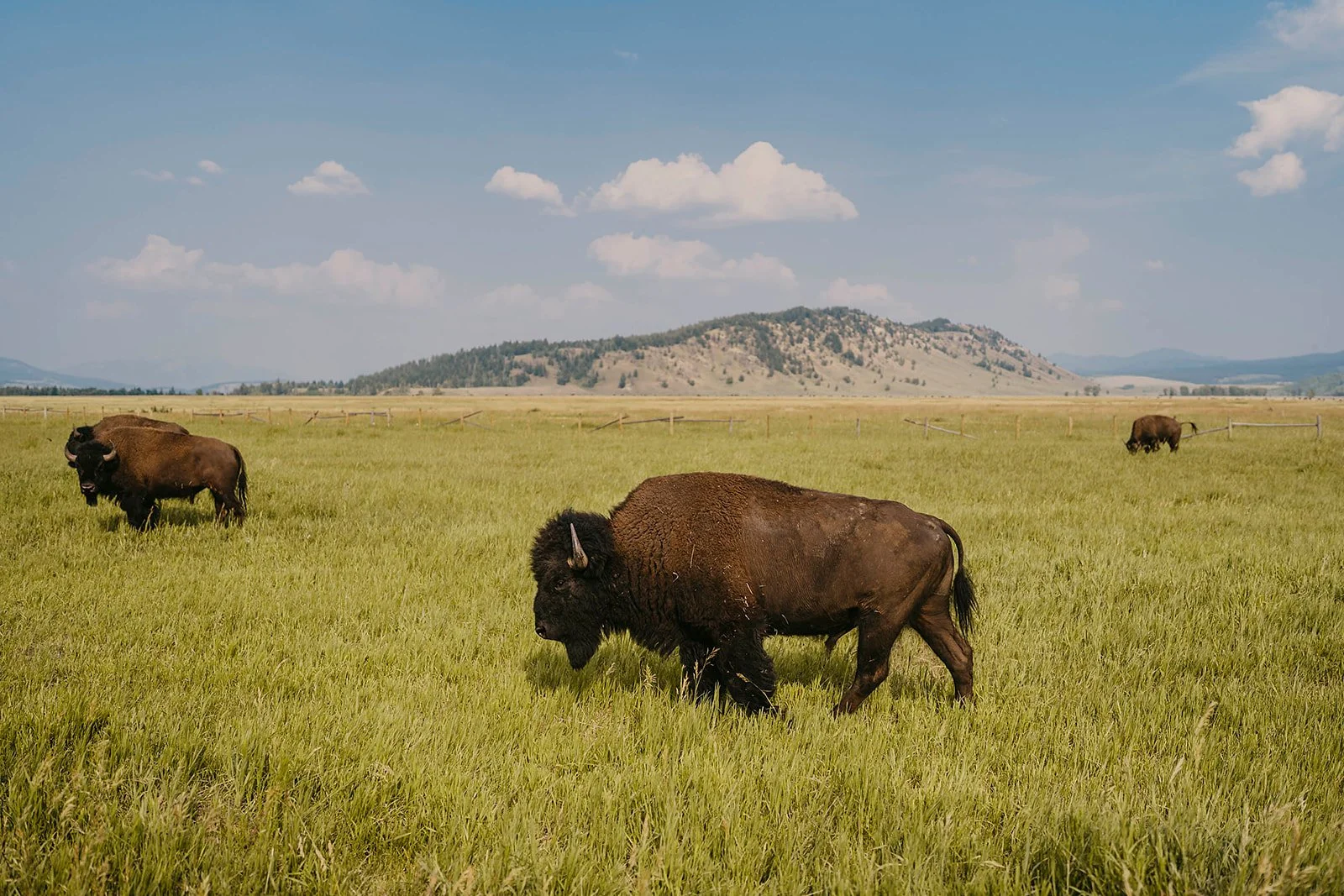 Tetons114_websize.jpg