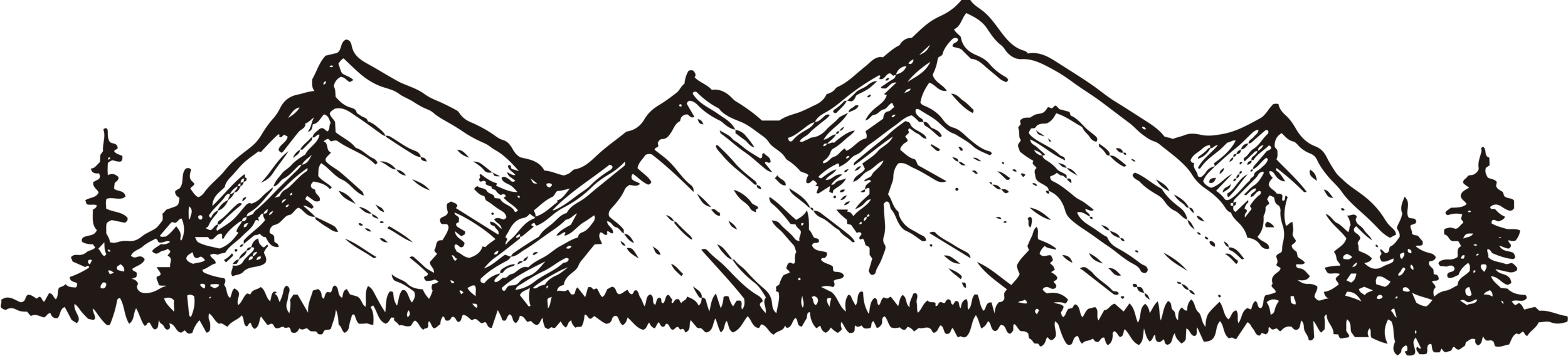montana2.png