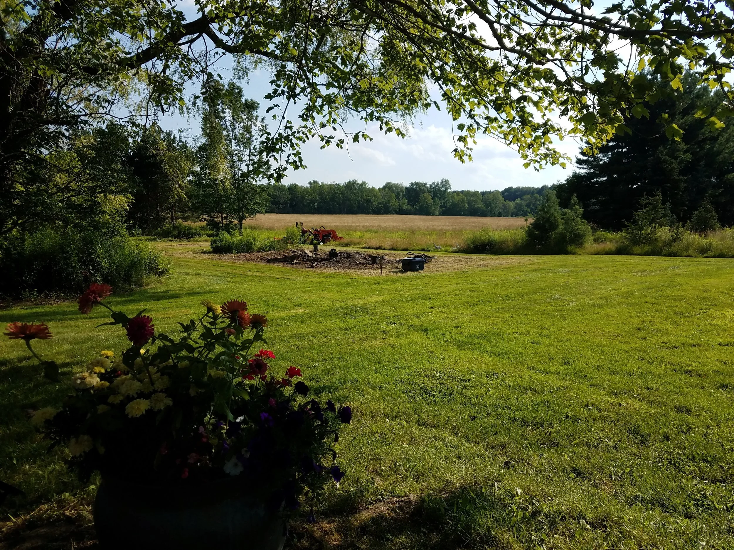summertractorfield.jpg